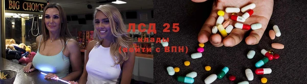 спайс Арсеньев