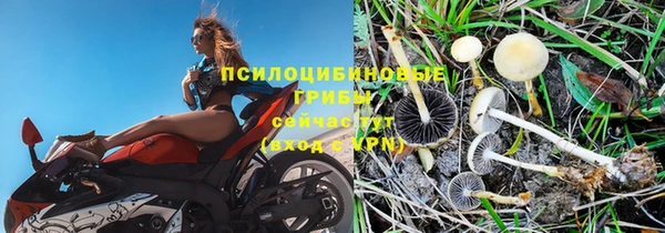 метадон Алексеевка